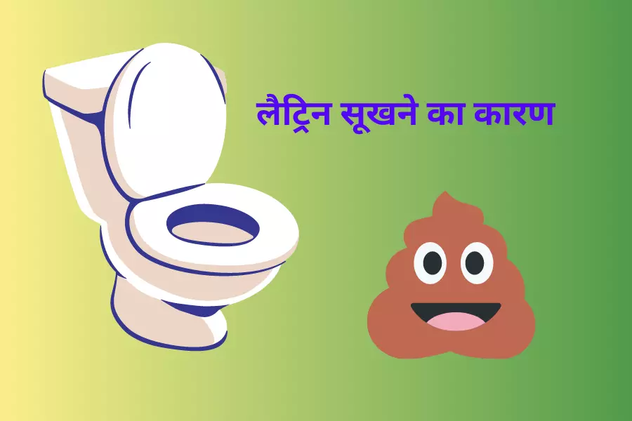 लैट्रिन सूखने का कारण